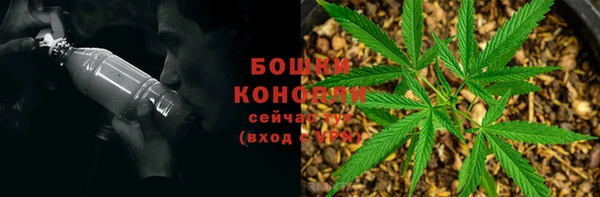 спиды Абаза